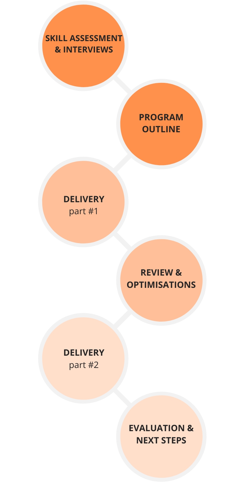 BSPOKE Process BSPOKE Program outline