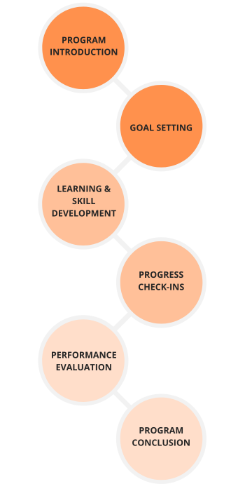 Mentorship program structure